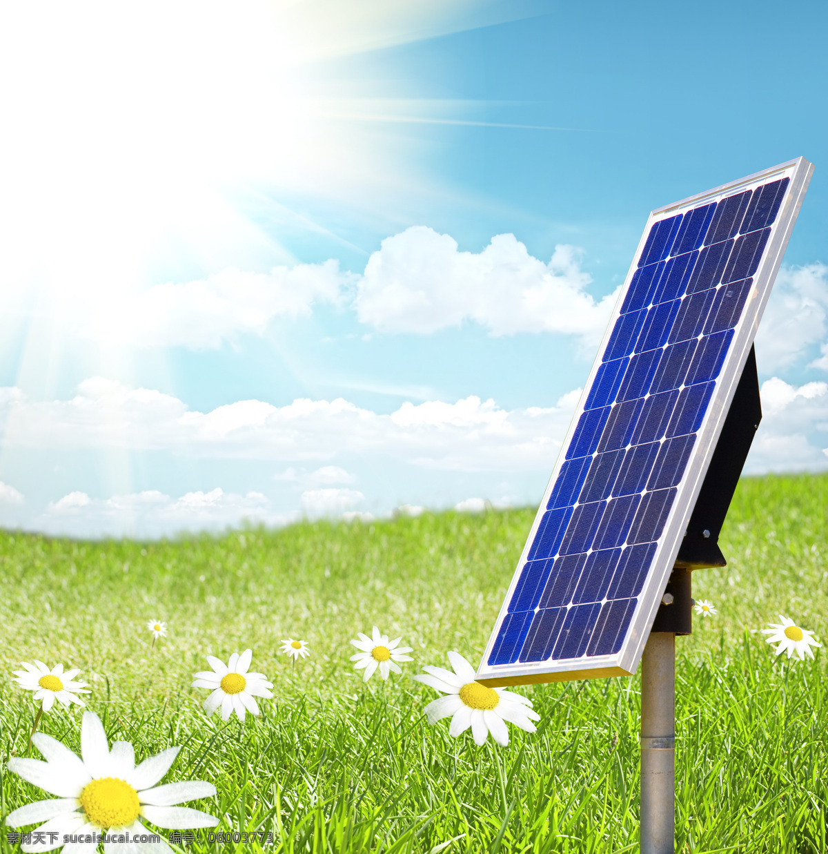 草地 上 太阳能 板 花朵 太阳能板 绿色 环保 创意 其他类别 环境家居