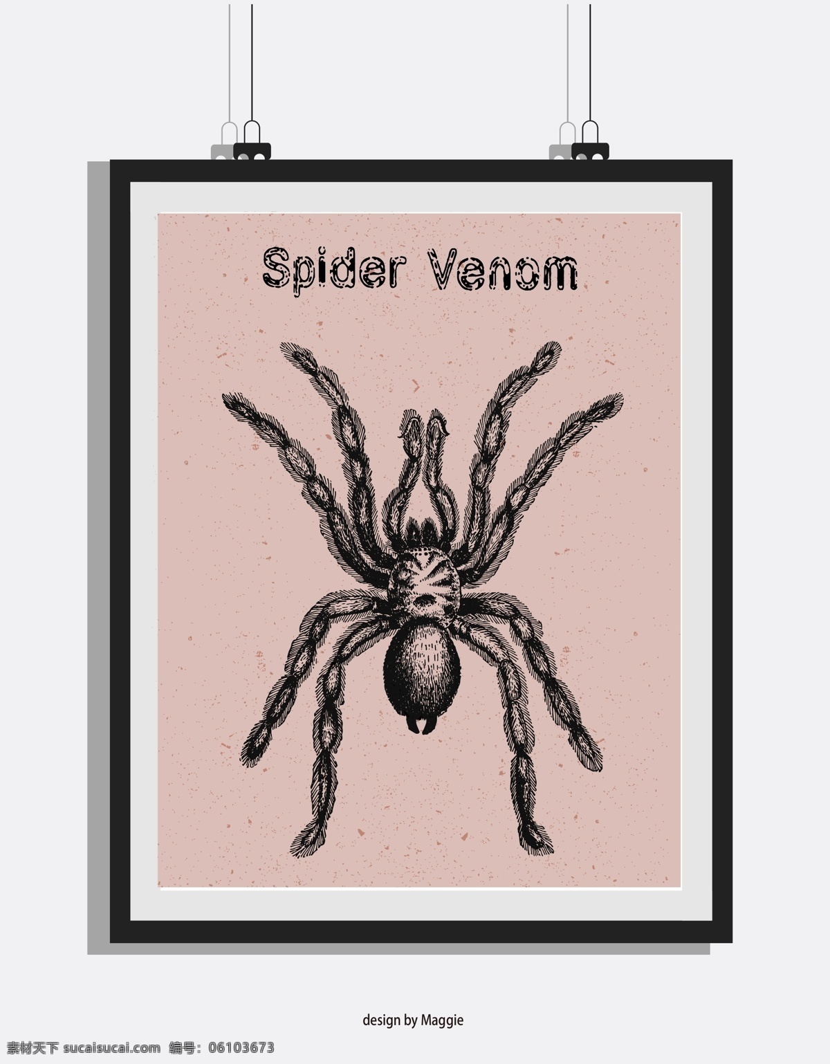 欧式 复古 手绘 蜘蛛 黑白 版画 装饰画 昆虫 毒蜘蛛 原创海报设计 移门图案