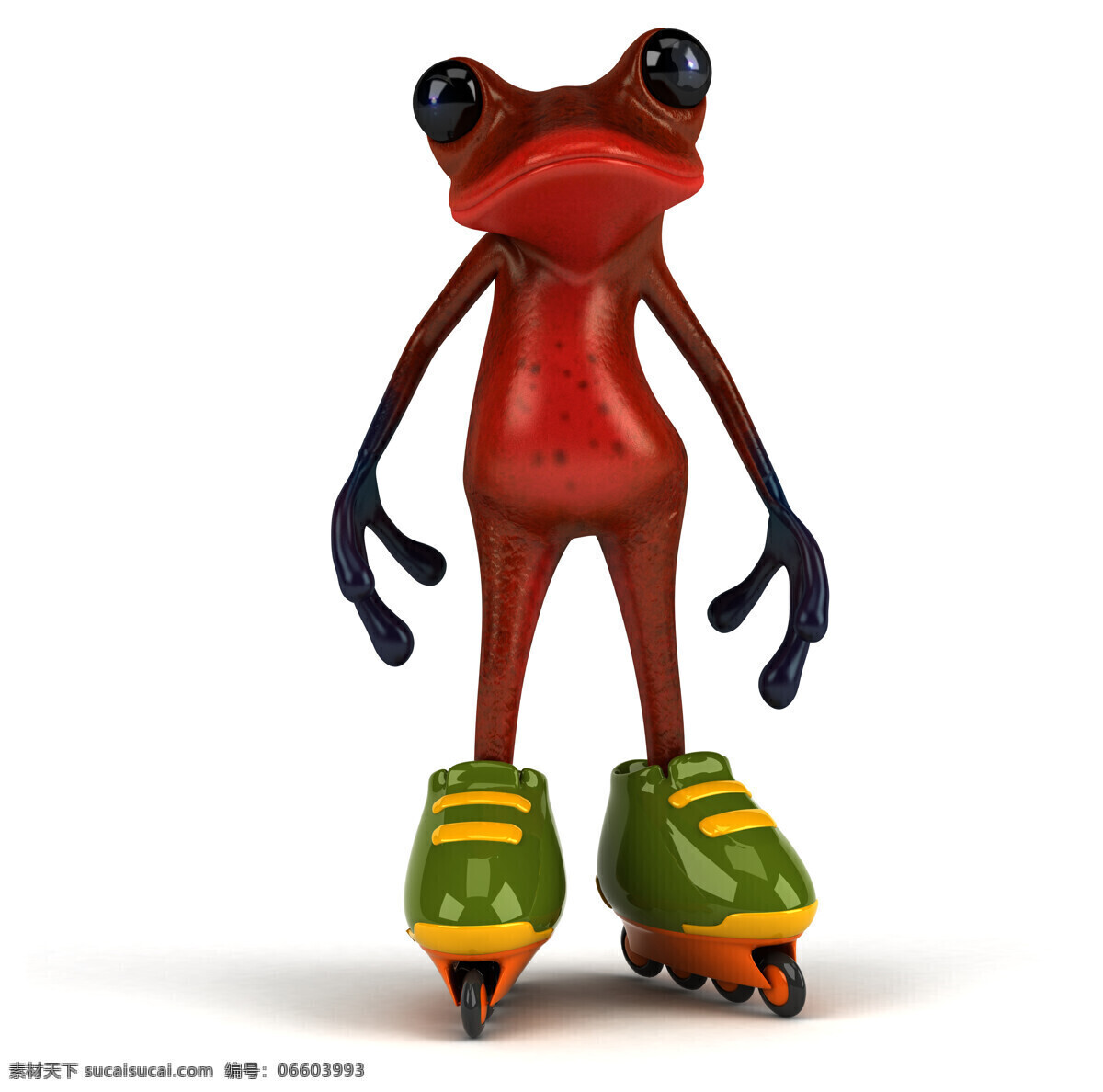 穿着 滑冰 鞋 青蛙 运动 动物 卡通动物 漫画插画 卡通青蛙 水中生物 生物世界