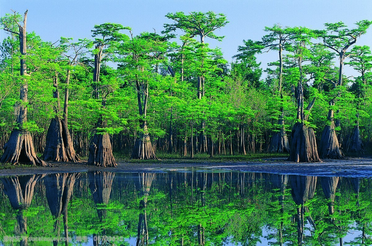 树林 湖泊 美丽风景 风景摄影 美景 景色 湖面 倒影 树木 山水风景 风景图片