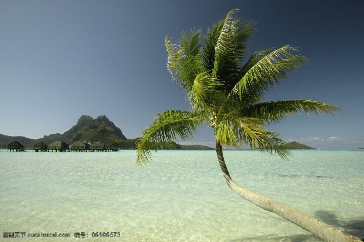 美丽 大海 风景 美丽海滩 海边风景 海岸风光 蓝天 海滩 海洋 海平面 椰子 椰树 旅游景点 海景 景色 美景 摄影图 高清图片 大海图片 风景图片