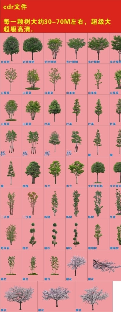树木 高清 版 小卢 园林高清 景观高清 树木高清 花草高清 室外 园林景观高清 花草树木高清 盆景高清 阿存作品
