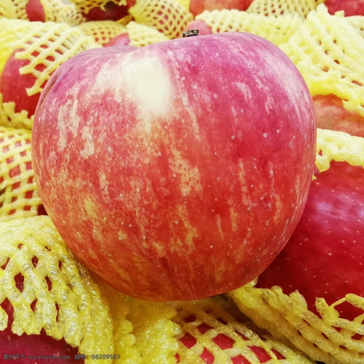 红富士苹果 苹果 红富士 有机水果 绿色水果 新鲜水果 农产品 生物世界 水果