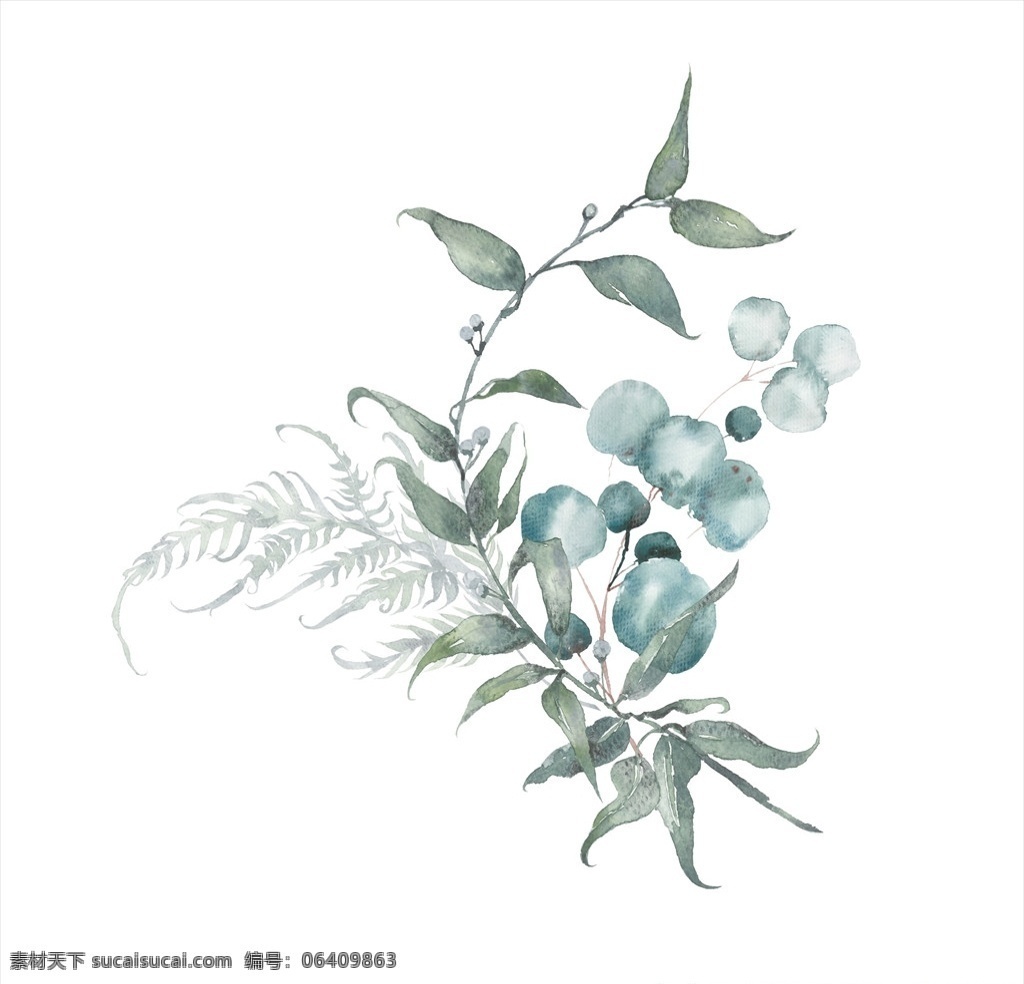 小 清新 水彩 植物 树枝 水彩画枝叶 淡色水彩叶子 植物树叶树枝 北欧装饰图案 小清新水彩 水彩装饰 欧式装饰 古希腊水彩 插画图案 文化艺术 绘画书法