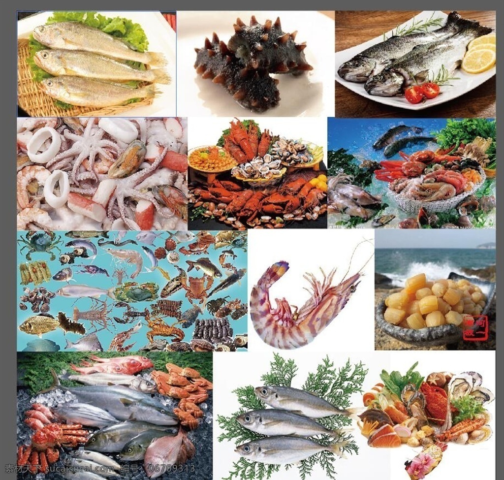 海鲜 鱼 虾 蟹 海报 生物世界 文化艺术