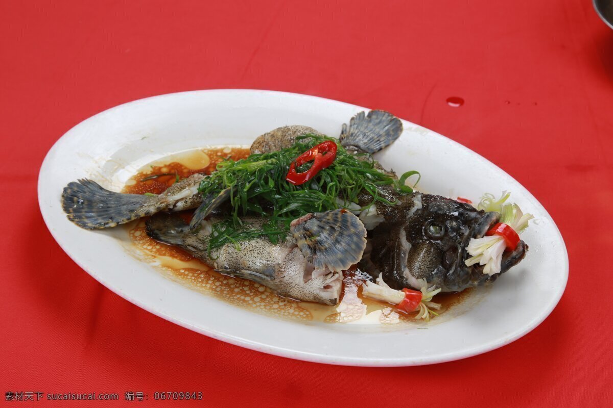 石斑鱼图片 石斑鱼 清蒸石斑鱼 老虎斑 清蒸老虎斑 斑鱼 餐饮美食 传统美食