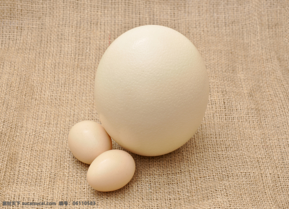 鸵鸟蛋 鸡蛋 食物 蛋壳 蛋黄 五谷杂粮鸡蛋 初生蛋