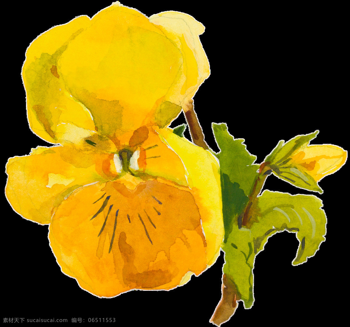 黄色 可爱 花朵 水彩 透明 水彩画 花儿 透明素材 装饰素材