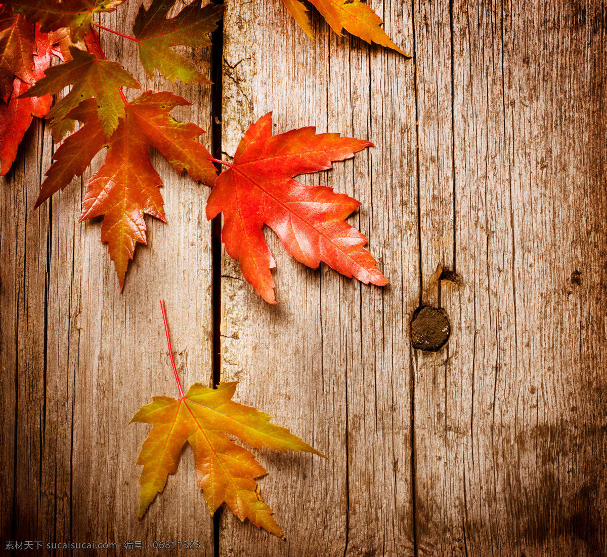木板 上 秋天 树叶 特写 高清 背景 枫叶 俯视 背景图片