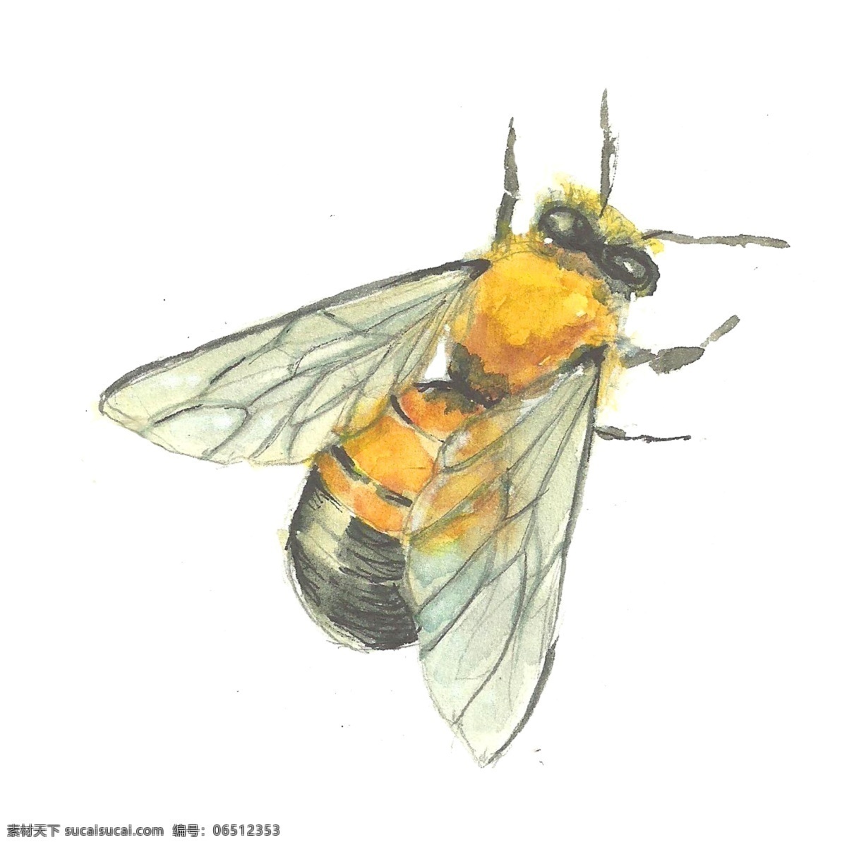 手绘蜜蜂 蜂巢 两只蜜蜂 采蜜 蜂王 六边形 蜂窝 蜜蜂 手绘 昆虫 生物世界 装饰画 卡通 壁纸 壁纸设计 移门图案 清新 蜜蜂墙纸