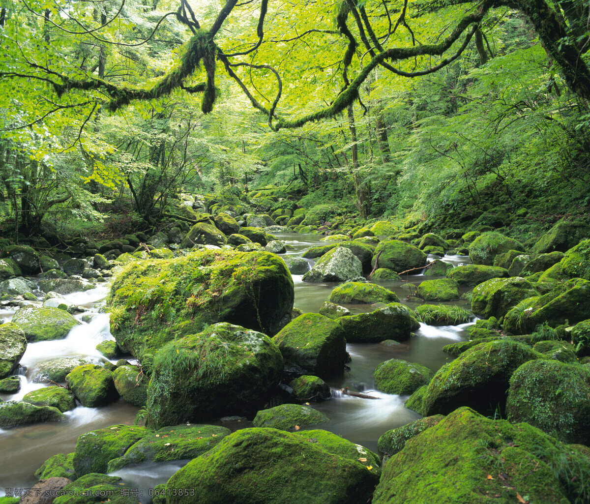 瀑布流水 茂密 森林 树木 丛林 山川 河流 旅游摄影 国内旅游 石头 自然风景 山水风景 自然景观