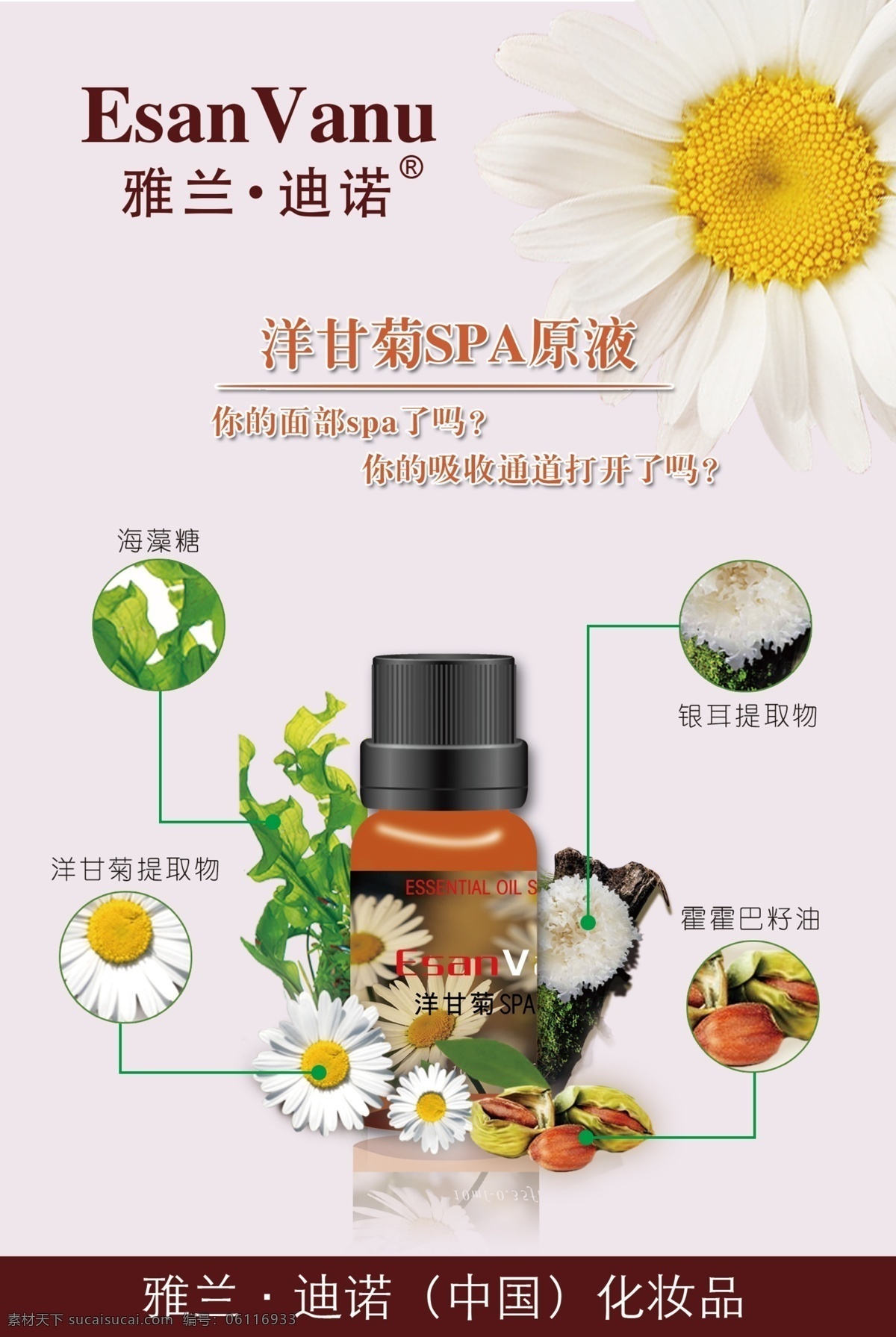 精油海报 精油 洋甘菊护肤 spa 原液 化妆品海报 护肤品海报 护肤品 化妆品