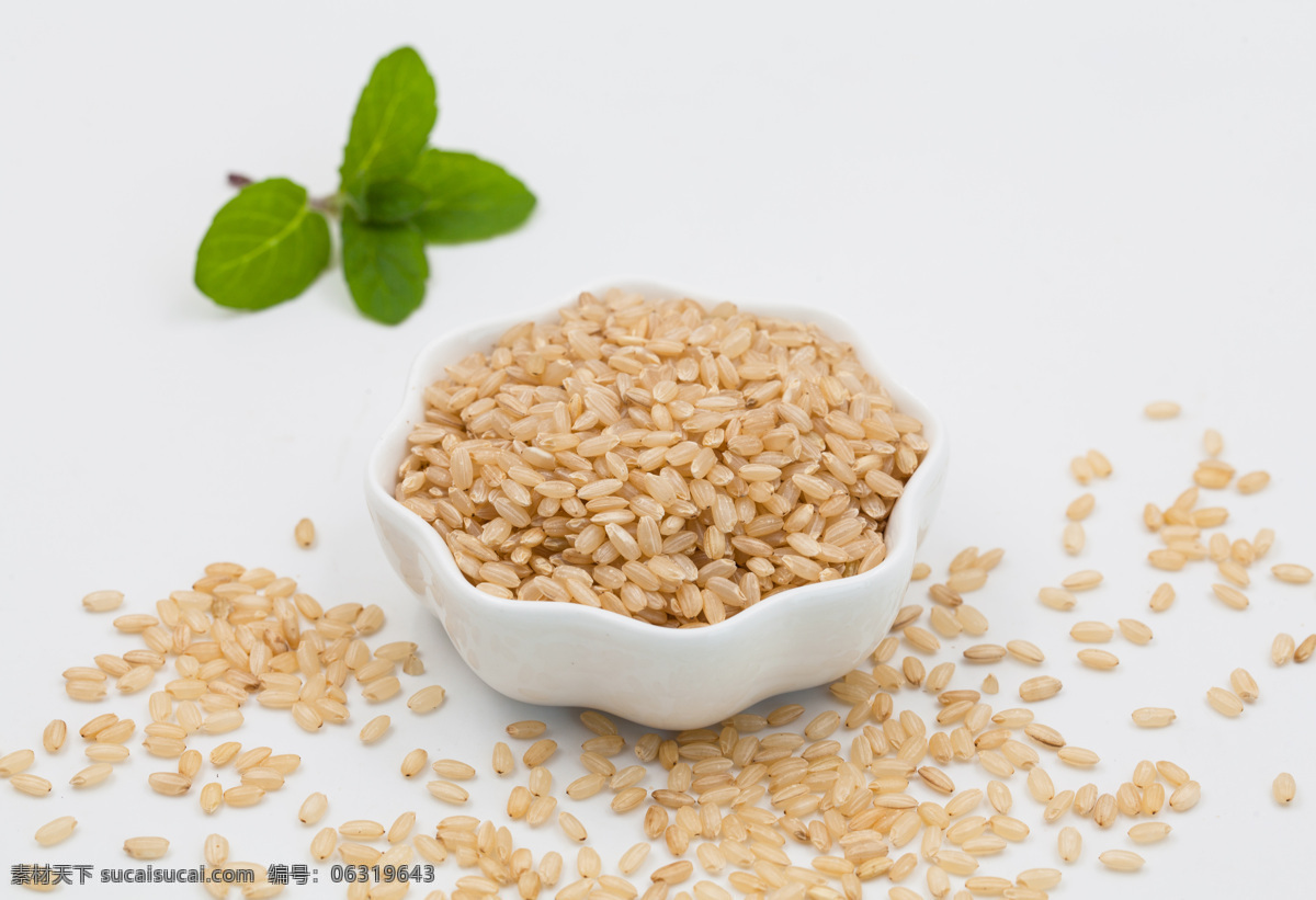 糙米 颖果 稻米 稻米籽粒 食物 食材 食物原料 餐饮美食