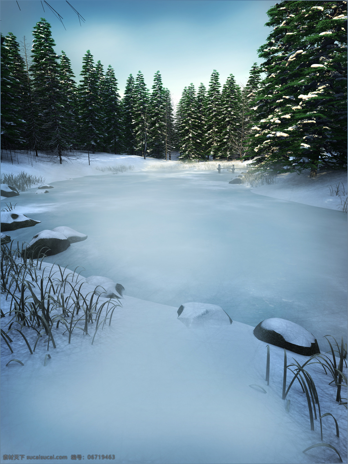 冬天景色 冬天 雪 白色 野外 森林 冰 自然风景 自然景观 黑色