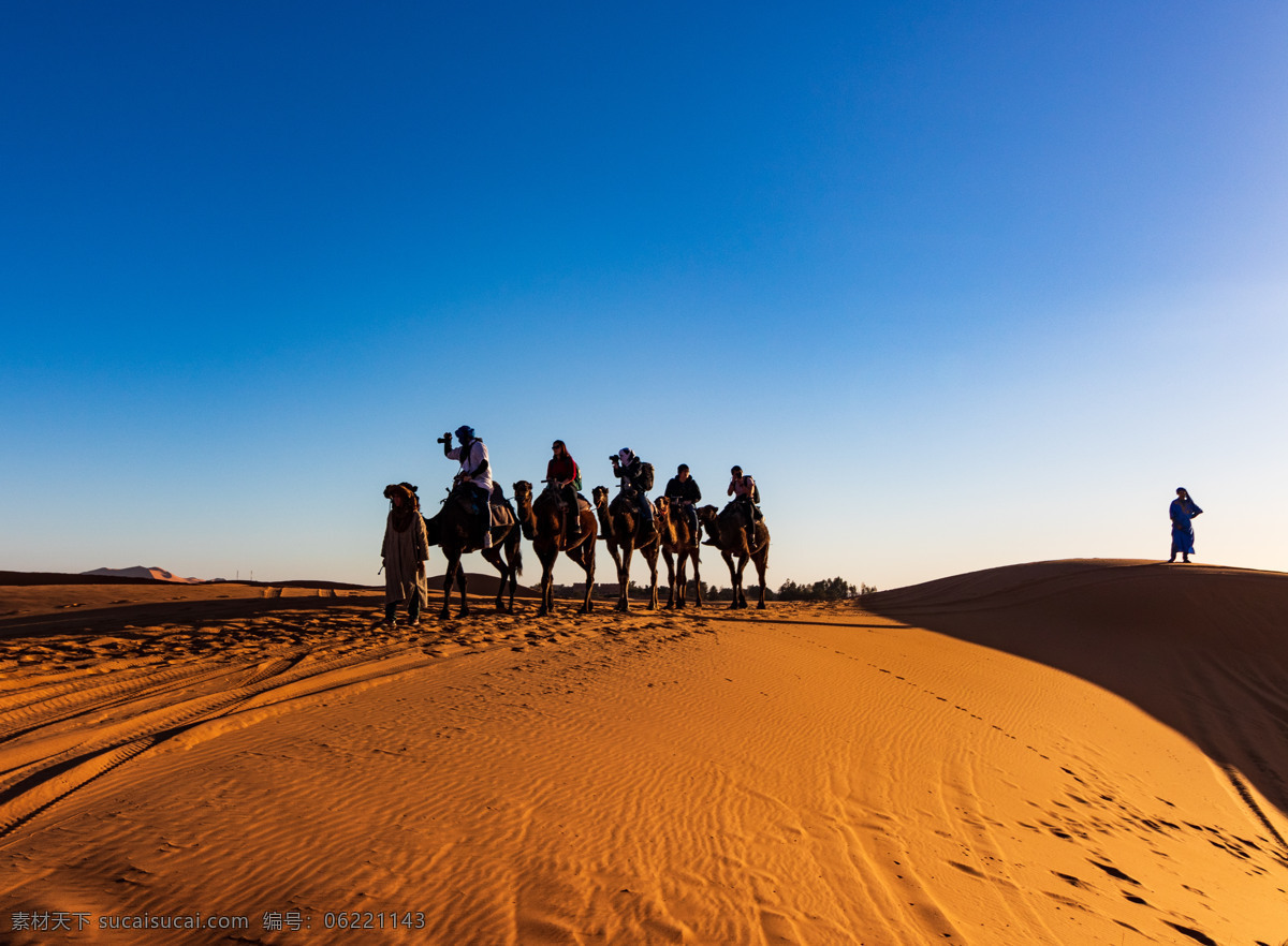 骆驼沙漠行走 骆驼 沙漠 行走 蓝天 白云 摄影库 旅游摄影 国内旅游