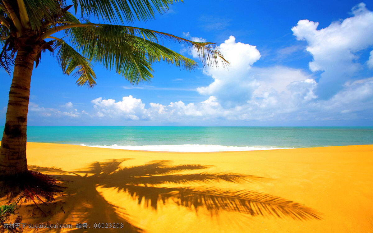 美丽 海滩 白云 蓝天 沙滩 盛夏 椰子树 自然风景 自然景观 美丽的海滩