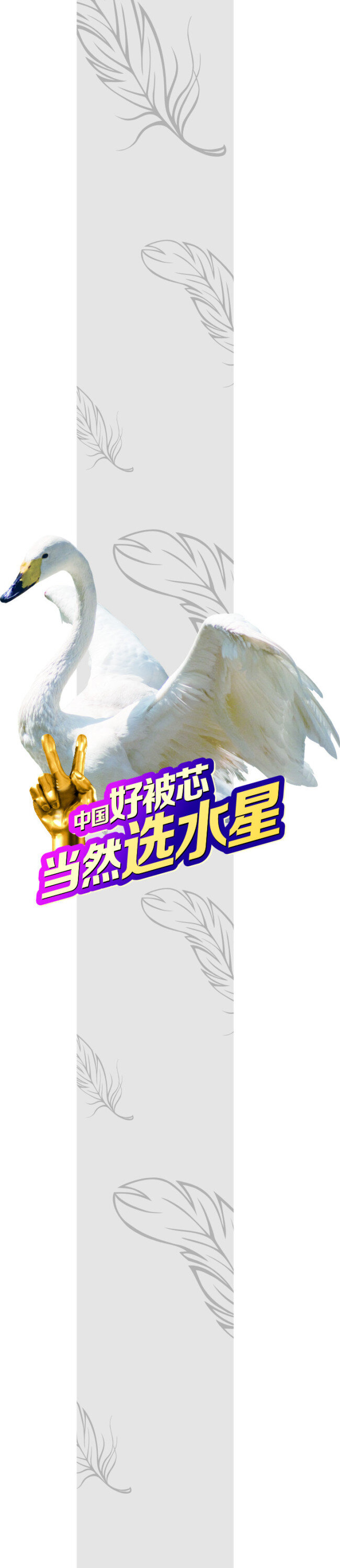 水星 家纺 包 柱子 金手指 胜利手势 矢量羽毛 天鹅 中国 好 芯 当然 选 字体 矢量图