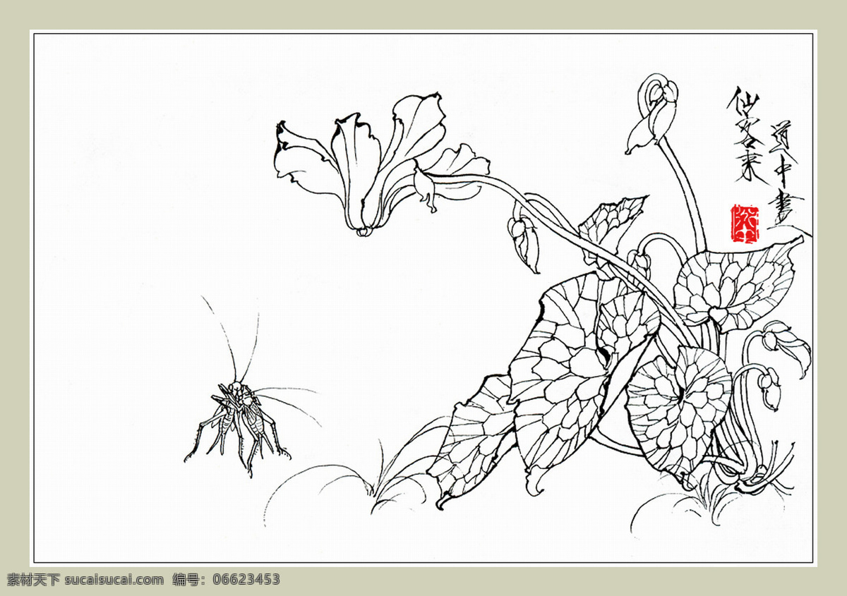 仙客来和蟋蟀 王道中 国画 白描 花卉 仙客来 兔子花 蟋蟀 昆虫 印章 白描花卉图谱 文化艺术 绘画书法