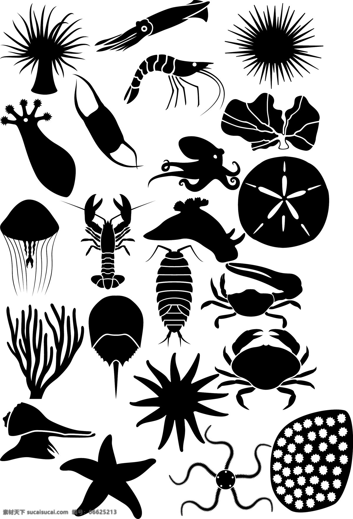 海洋生物剪影 动物矢量图 海星 龙虾 水母 海葵 海胆 螃蟹 墨版 版画 生物世界 海洋生物 白色