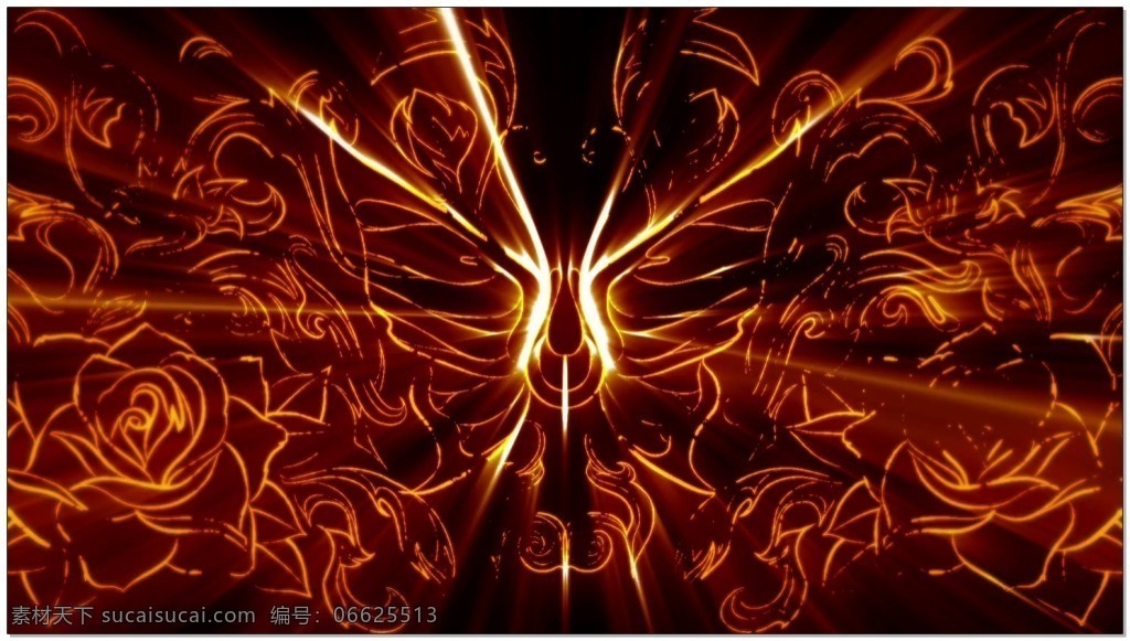 烈焰 蝴蝶 动态 视频 火焰 三维 类 几何 魔法 空间 变换 3d 特效