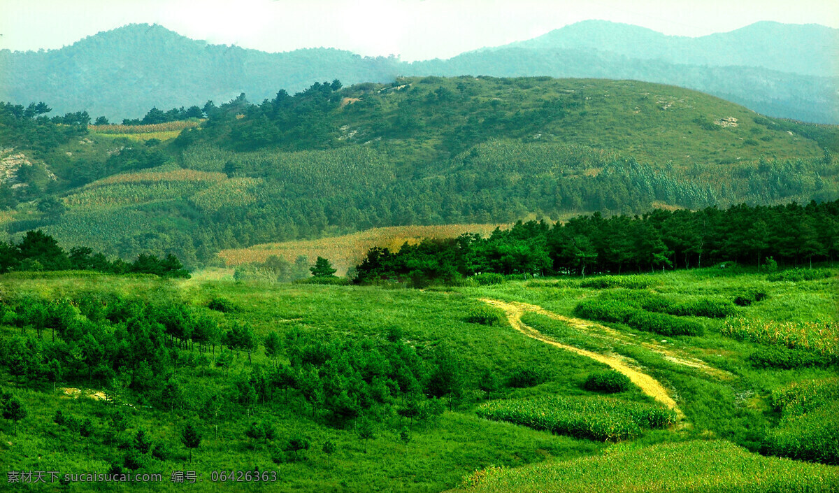 风光 风景 绿色 山 山峰 山水风景 树木 自然风光 溪源 峡谷 石 峡谷风光 自然景观 白清寨风光 自然风景 家居装饰素材 山水风景画