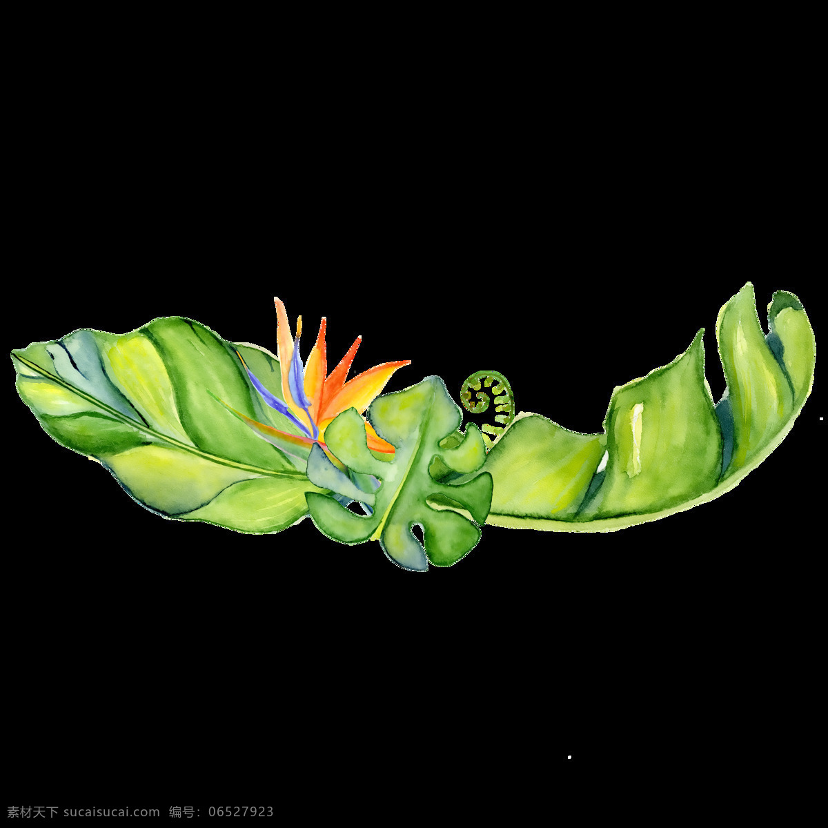 手绘 三 片 渲染 叶子 透明 逼真 观赏 鹤望兰 橘色 绿色 免扣素材 水彩 透明素材 装饰图案
