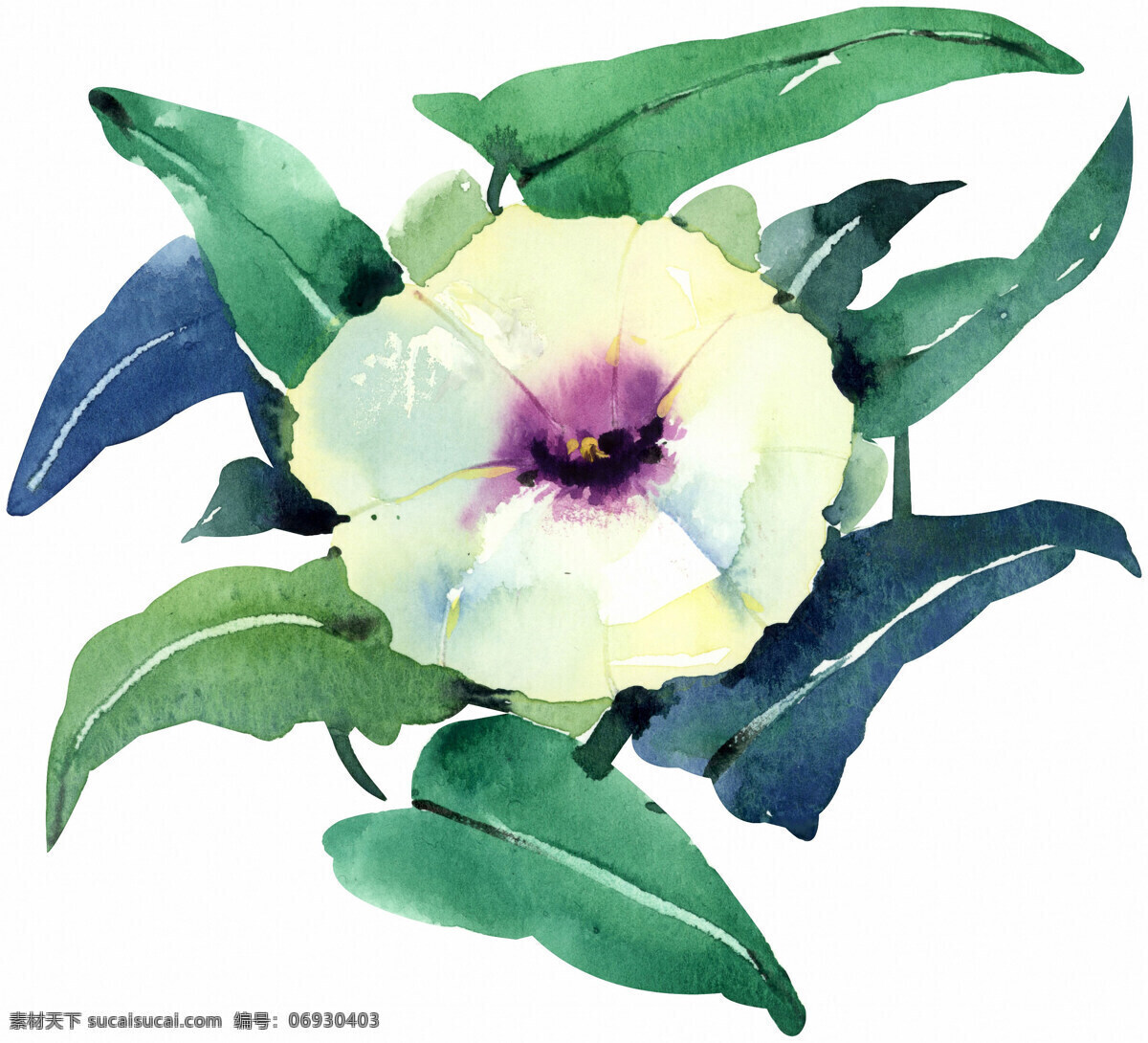 花卉图案 中国画 花草图案 静物画 书画美术 设计素材 静物画篇 中国画篇 白色