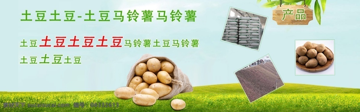 马铃薯 产品 格式 大图 土豆 产品展示 绿色