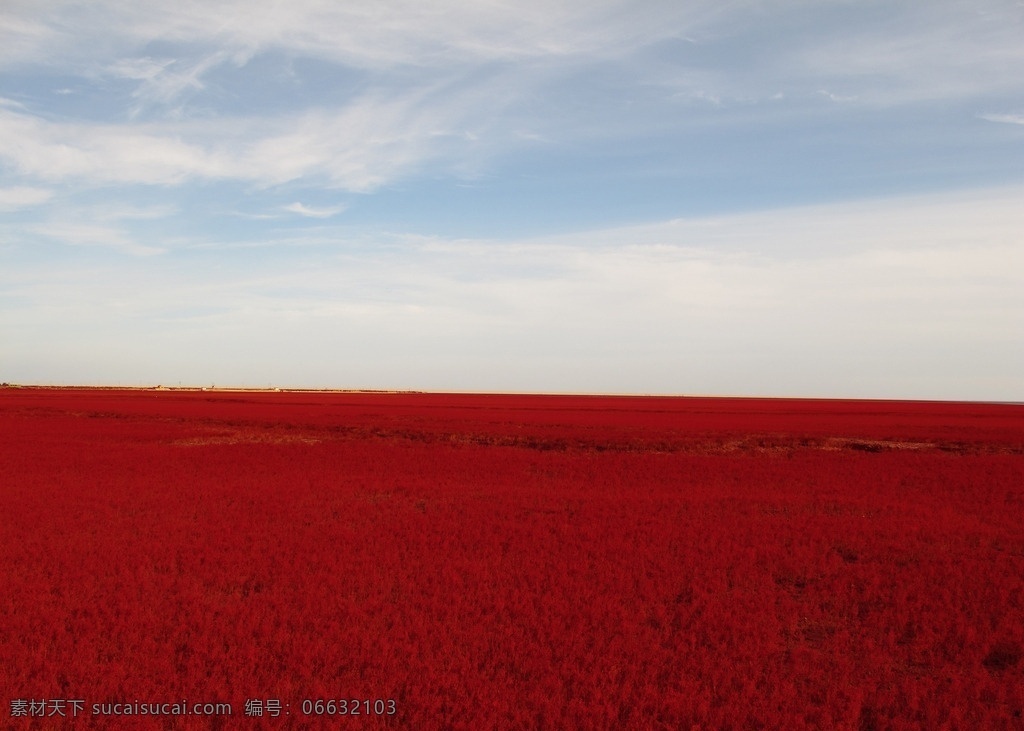 盘锦红海滩 辽宁 盘锦 海滩 海边 美丽红海滩 湿地 滩涂 植被 红海滩 碱蓬草 红色植被 自然景观 风景名胜