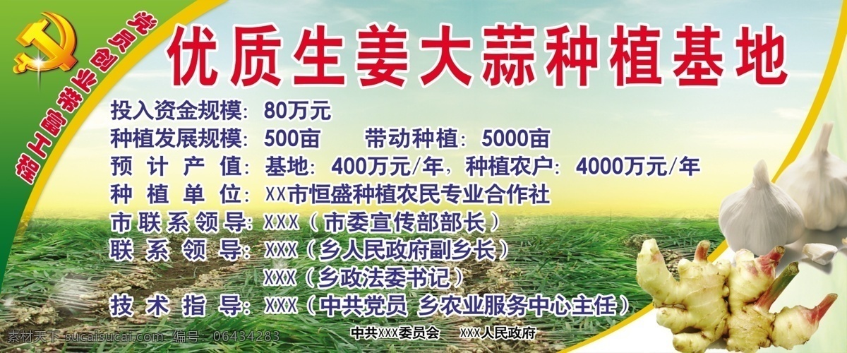 生姜 大蒜 种植 基地 蒜苗 蒜瓣 其他模版 广告设计模板 源文件