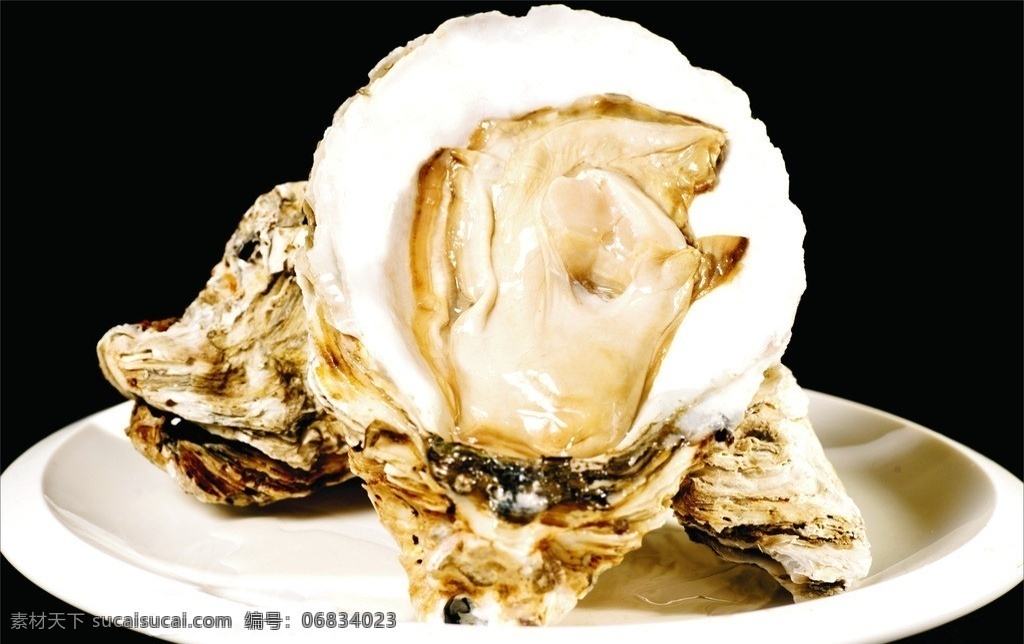 生蚝 法国生蚝 海产品 大补 美食 壮阳 食物原料 餐饮美食