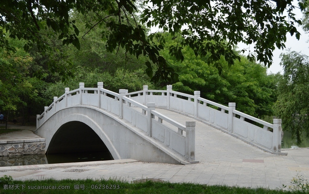 石桥 树 大树 松树 石头桥 桥 建筑 建筑景观 自然景观