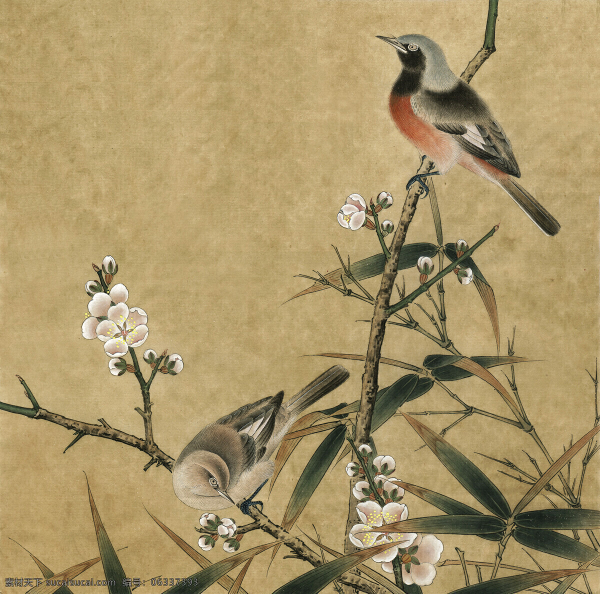工笔画 国画艺术 花鸟画 绘画书法 梅花 美术 文化艺术 梅竹双雀图 中国画 山雀 竹子 国画集78 矢量图 日常生活