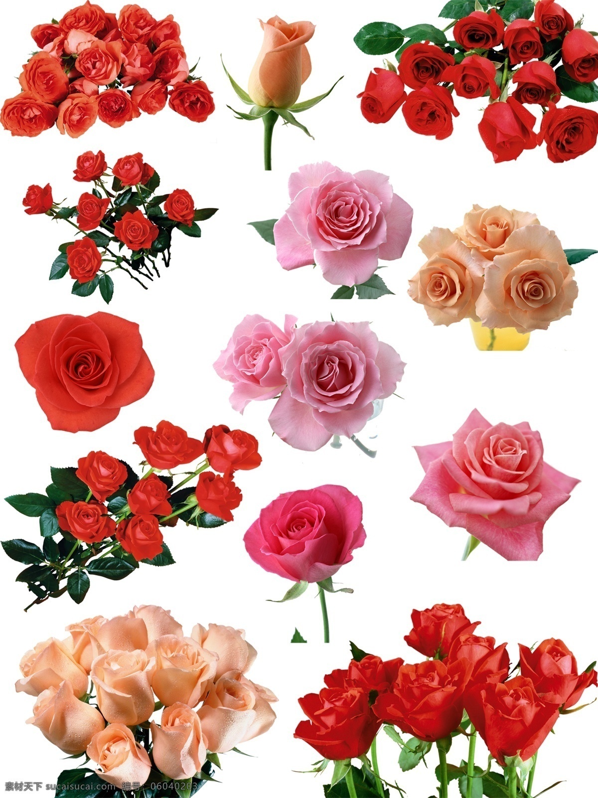 玫瑰花 元素 红玫瑰 粉玫瑰 黄玫瑰