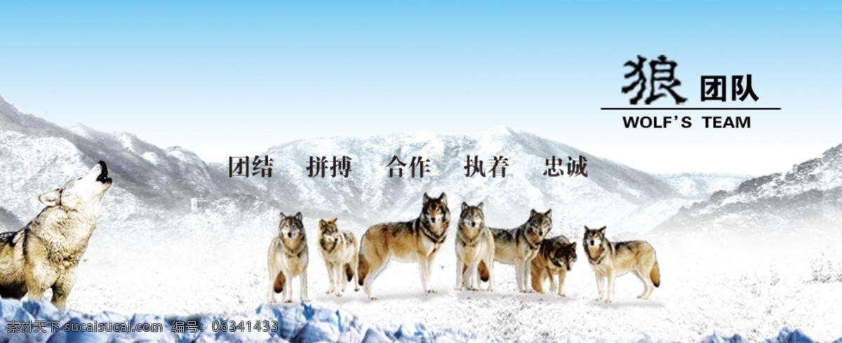 网页 banner 狼 文化 诚信为本 动感线条 狼文化 企业文化 原创设计 原创网页设计