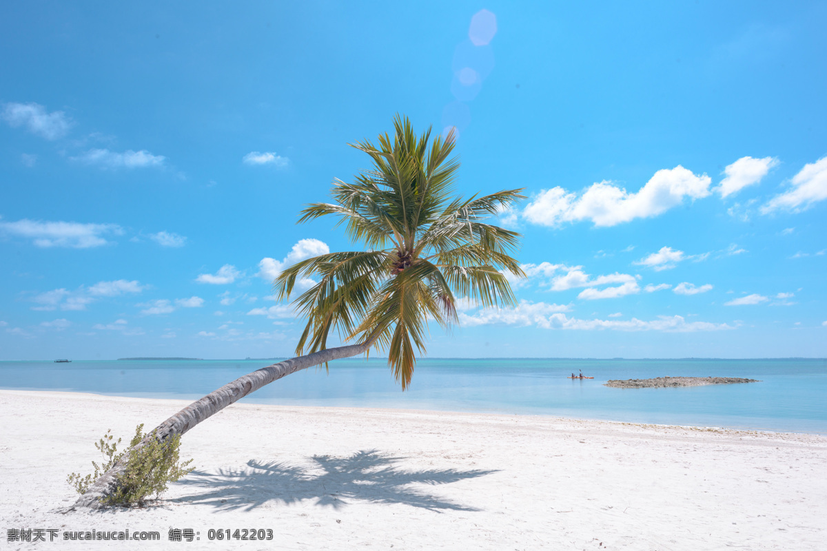 马尔代夫 椰树 蓝天沙滩 白云 背景 游玩 风景 旅游摄影