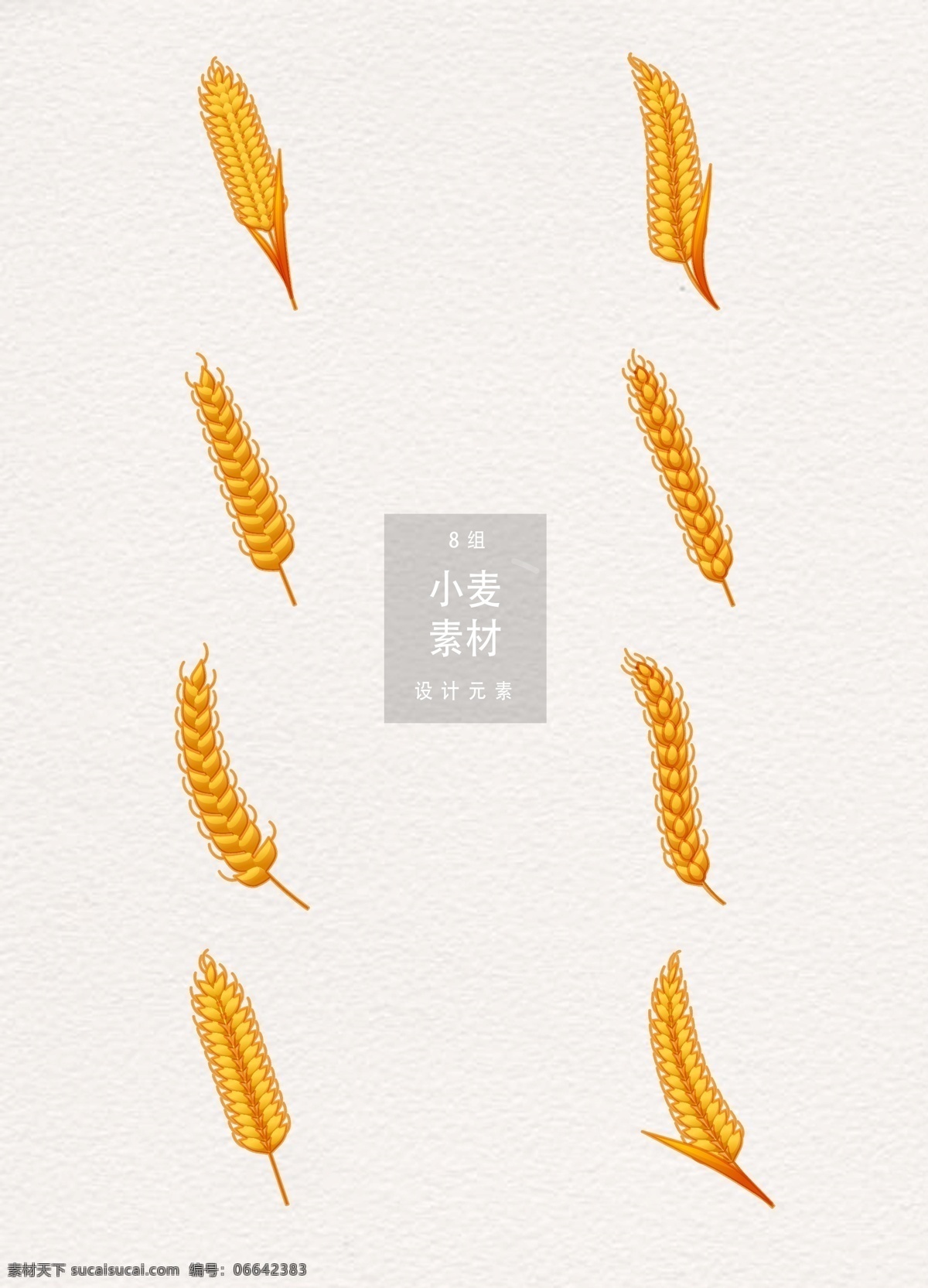小麦设计元素 小麦 植物 麦穗 五谷 矢量素材 小满 二十四节气 设计元素 传统节气 谷物 麦子