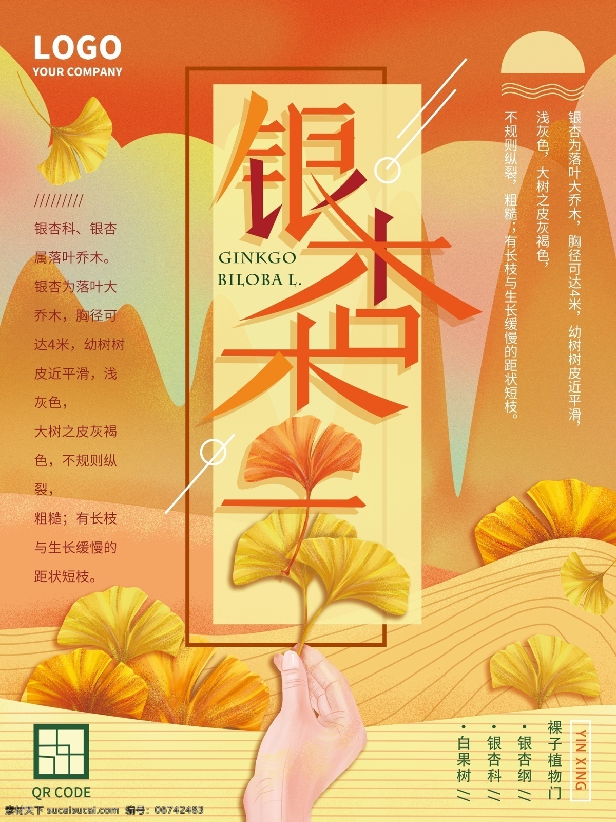 银杏 季 原创 手绘 简约 海报 唯美 温馨 叶子 自然