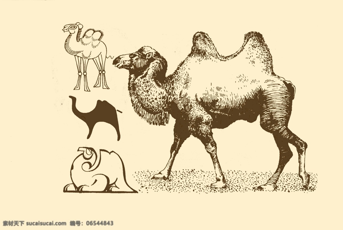 动物图案 骆驼 卡通 动物 纹样 图案 白描 简笔画 儿童画 分层 源文件