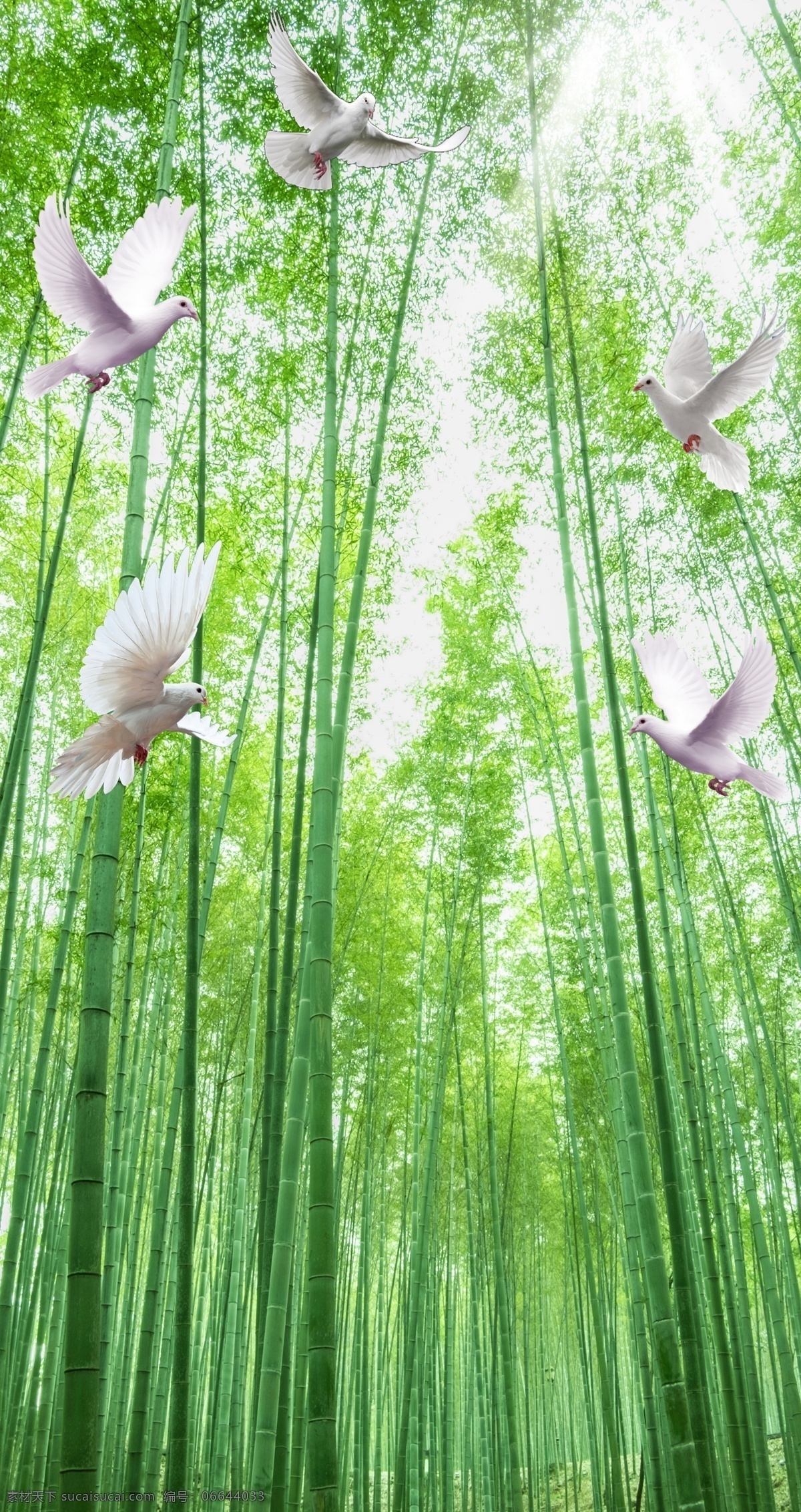 3d竹海竹林 竹子 竹林 鸽子 林荫路 小路 风景 3d立体 手绘 现代简约 电视背景墙 酒吧 公司 大厅 酒店 宾馆 客厅 玄关 过道 壁画 背景墙 墙纸 壁纸 装饰画 中堂画 形象墙 清新 时尚美女 时尚元素 时尚背景 时尚潮流 时尚杂志