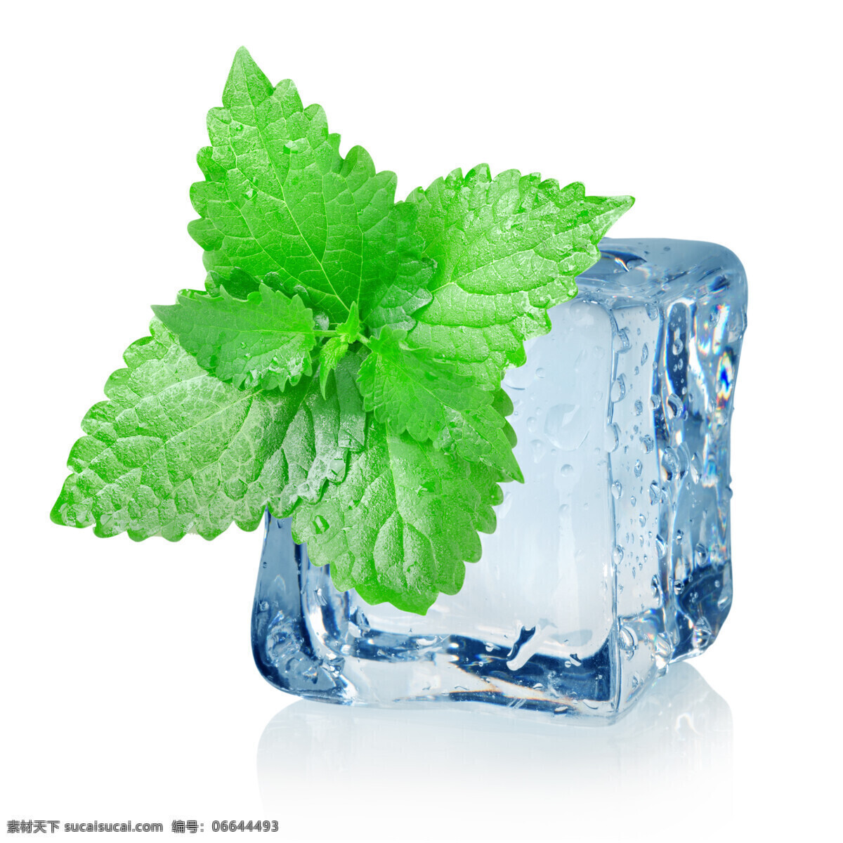 冰块与薄荷 冰块 薄荷 冰冻的水果 新鲜水果 冰冻冷藏 冷藏保鲜 中华美食 餐饮美食 白色