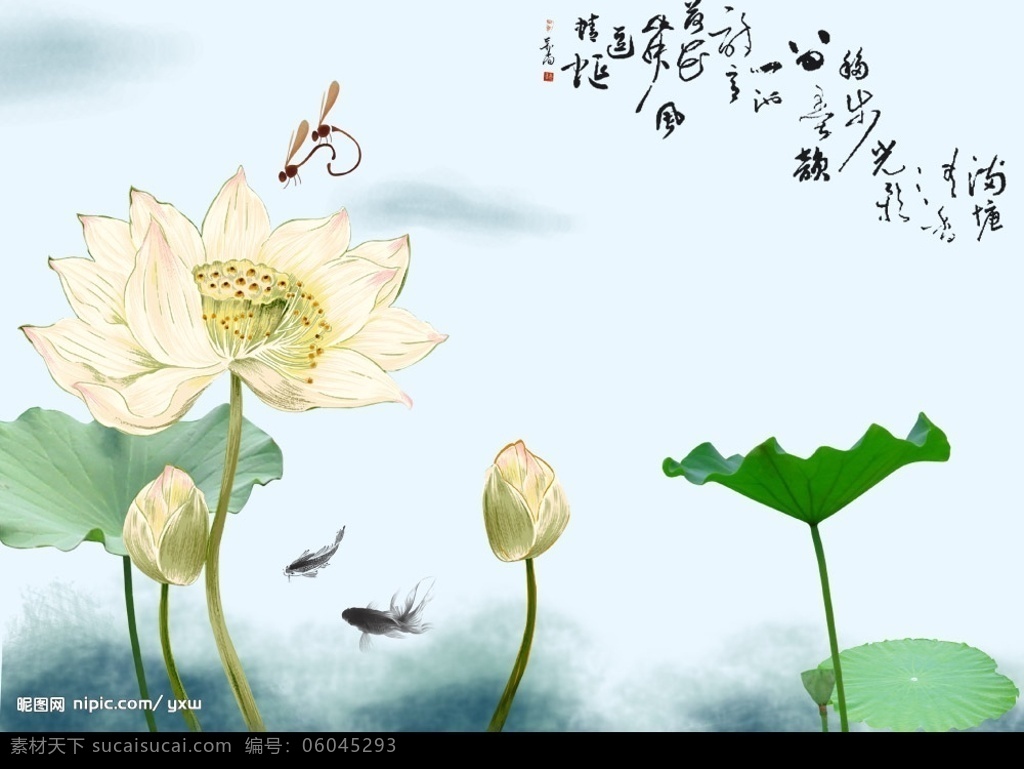 荷花 书法 金鱼 蜻蜒 分层 源文件库 水墨