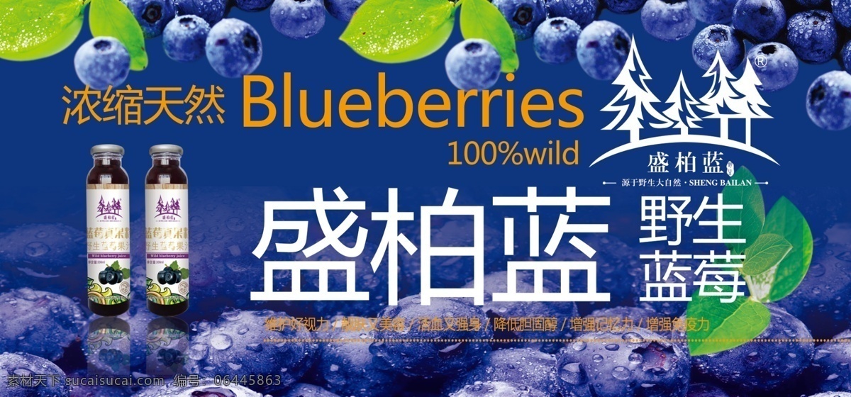 蓝莓 蓝色 蓝莓图 蓝莓图片 蓝莓高清 分层