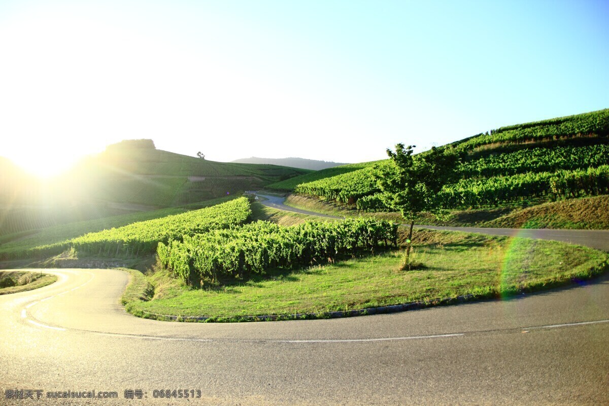 唯美风景 自然景观 自然风景 山水风景 风景 风景壁纸 风景图片 唯美图片 唯美壁纸 电脑壁纸 大自然风景 蓝天白云 蓝天白云风景 夕阳 阳光 马路 公路 植物 植物图片 绿色植物 花草树木 花花草草 4k图片 4k壁纸 创意图片 背景图片 背景素材 旅游摄影 树 树木 树干 大树