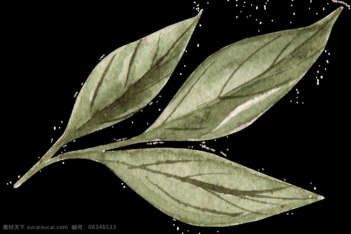 牡丹花素材 牡丹花 牡丹花元素 牡丹花背景 牡丹花底纹 牡丹花封面 logo 牡丹花标志 牡丹 牡丹素材 牡丹元素 牡丹背景 牡丹海报 牡丹封面 牡丹工笔画 牡丹花工笔画 牡丹油画 牡丹花油画 牡丹花摄影 牡丹花剪影 金色牡丹 金色牡丹花 牡丹花花瓣 牡丹花瓣 牡丹剪影 国画牡丹 牡丹花国画