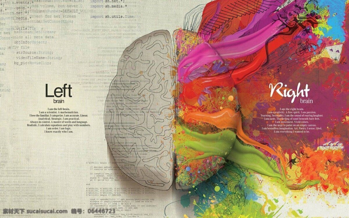 左右脑创意图 大脑 广告 左脑 右脑 艺术图