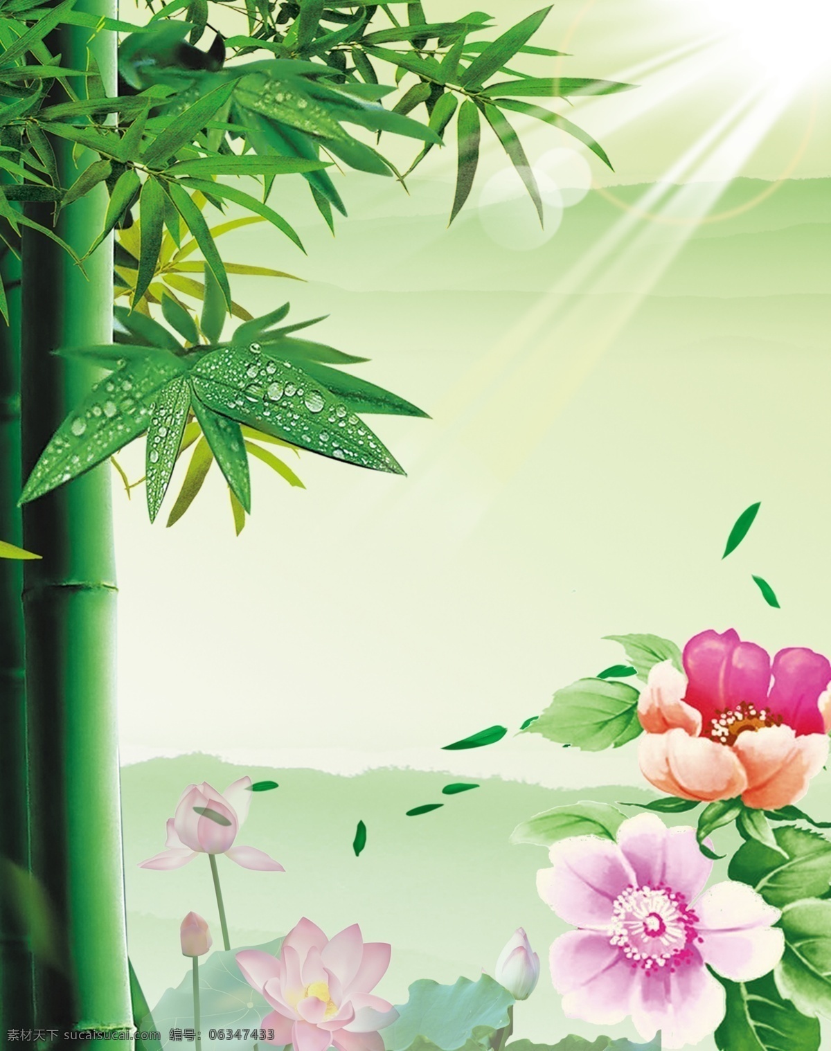 矢量竹子 矢量卡通竹子 卡通竹子 绿色竹子 竹子 竹子背景 矢量竹子背景 花 荷花 绿色背景