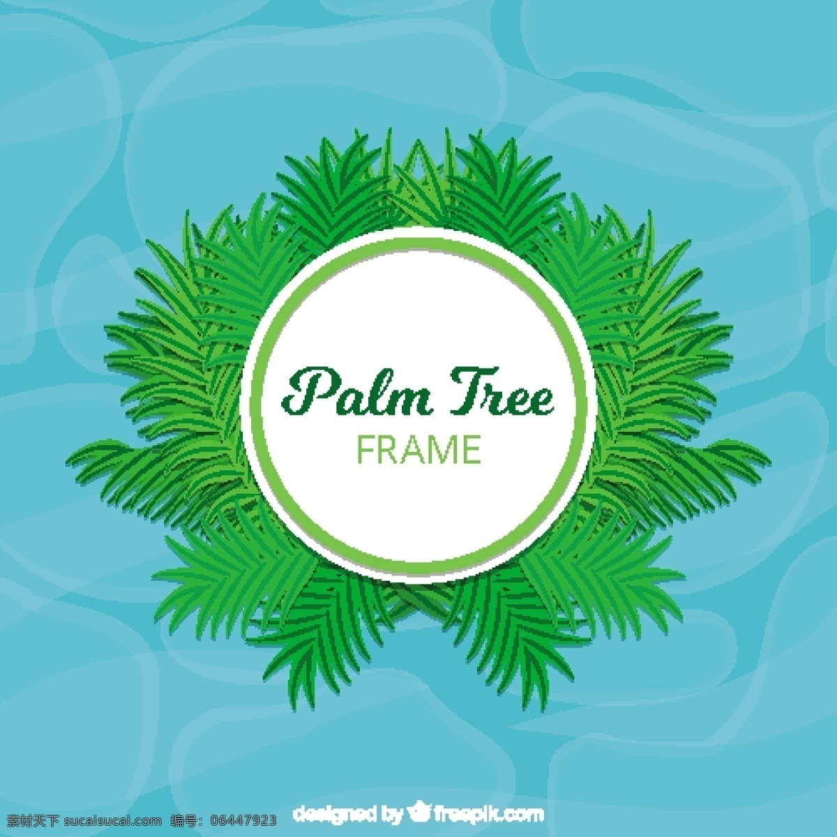 棕榈树 框架 树 夏天 树叶 自然 热带 植物 环境 棕榈叶 天堂 树干 异国情调