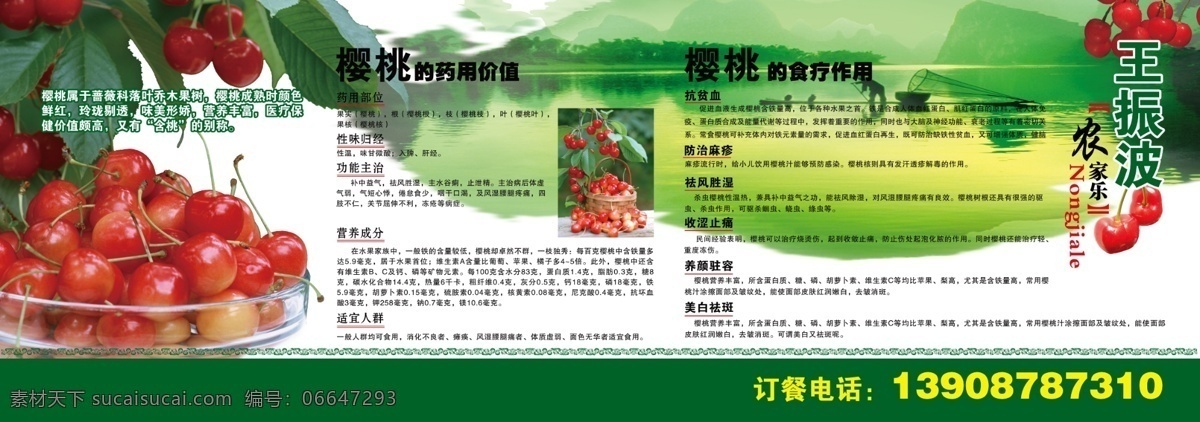 樱桃 展板 广告设计模板 农家乐 源文件 展板模板 樱桃展板 樱桃药用价值 樱桃价值 其他展板设计
