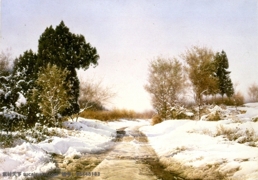 斜阳 陶世虎 水彩画 写实 树木 冬天 中国画 松树 杨树 枯草 小路 积雪 青松 雪景 绘画书法 文化艺术
